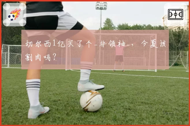 切尔西1亿买了个_非领袖_，今夏该割肉吗？