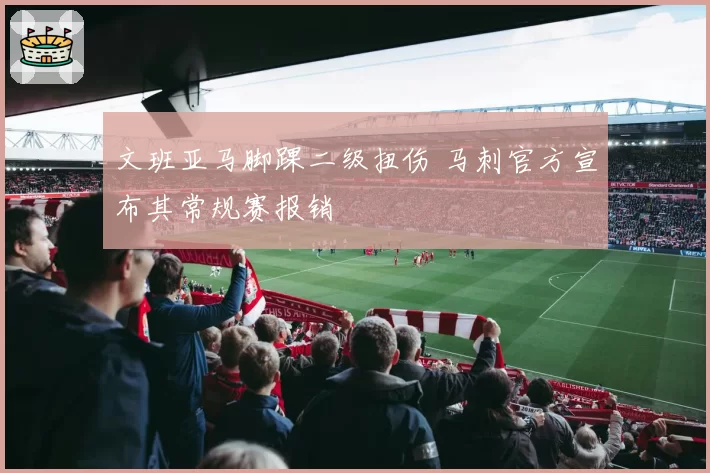 文班亚马脚踝二级扭伤 马刺官方宣布其常规赛报销